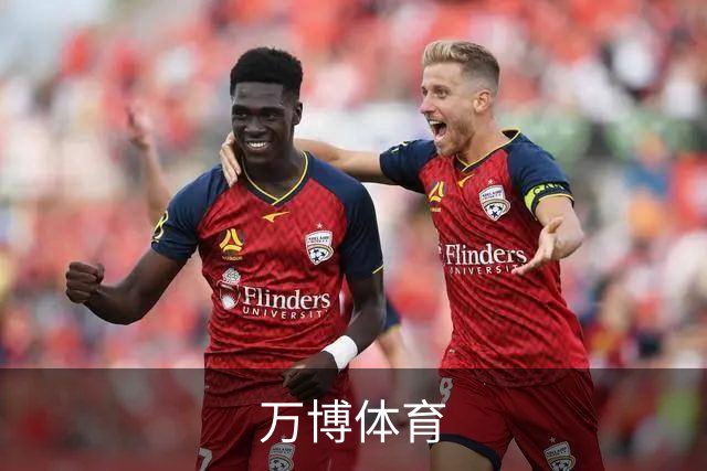 万博体育公司简介图片